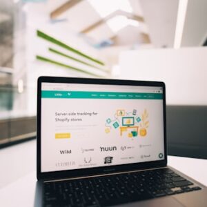 Version Control Essentials